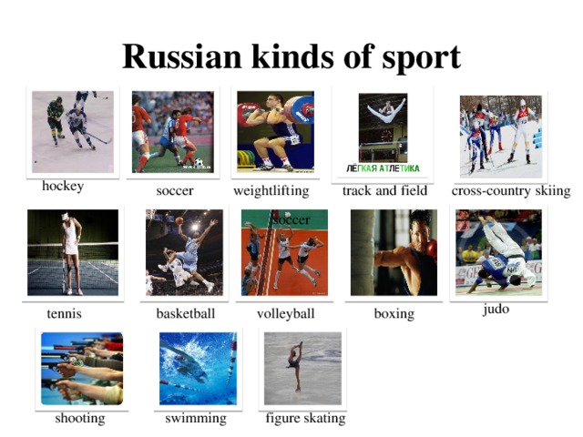 Russian kinds of sport hockey cross-country skiing track and field weightlifting soccer soccer  judo tennis basketball volleyball  boxing  shooting swimming figure skating