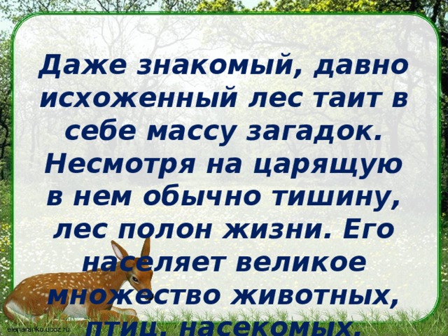 Даже знакомый, давно исхоженный лес таит в себе массу загадок. Несмотря на царящую в нем обычно тишину, лес полон жизни. Его населяет великое множество животных, птиц, насекомых.