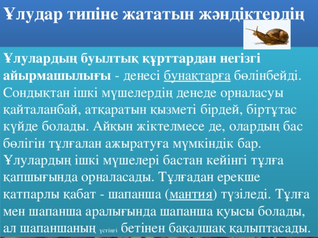 Ұлудар типіне жататын жәндіктердің  негізгі ерекшеліктер і Ұлулардың буылтық құрттардан негізгі айырмашылығы - денесі бунақтарға бөлінбейді. Сондықтан ішкі мүшелердің денеде орналасуы қайталанбай, атқаратын қызметі бірдей, біртұтас күйде болады. Айқын жіктелмесе де, олардың бас бөлігін тұлғалан ажыратуға мүмкіндік бар. Ұлулардың ішкі мүшелері бастан кейінгі тұлға қапшығында орналасады. Тұлғадан ерекше қатпарлы қабат - шапанша ( мантия ) түзіледі. Тұлға мен шапанша аралығында шапанша қуысы болады, ал шапаншаның үстіңгі бетінен бақалшақ қалыптасады.