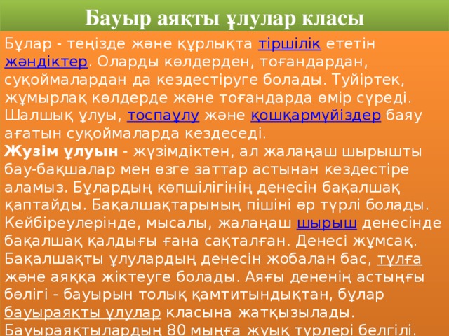 Бауыр аяқты ұлулар класы Бұлар - теңізде және құрлықта тіршілік ететін жәндіктер . Оларды көлдерден, тоғандардан, суқоймалардан да кездестіруге болады. Туйіртек, жұмырлақ көлдерде және тоғандарда өмір сүреді. Шалшық ұлуы, тоспаұлу және қошқармүйіздер баяу ағатын суқоймаларда кездеседі. Жузім ұлуын - жүзімдіктен, ал жалаңаш шырышты бау-бақшалар мен өзге заттар астынан кездестіре аламыз. Бұлардың көпшілігінің денесін бақалшақ қаптайды. Бақалшақтарының пішіні әр түрлі болады. Кейбіреулерінде, мысалы, жалаңаш шырыш денесінде бақалшақ қалдығы ғана сақталған. Денесі жұмсақ. Бақалшақты ұлулардың денесін жобалан бас, тұлға және аяққа жіктеуге болады. Аяғы дененің астыңғы бөлігі - бауырын толық қамтитындықтан, бұлар бауыраяқты ұлулар класына жатқызылады. Бауыраяқтылардың 80 мыңға жуық түрлері белгілі. Бау-бақшаға, жүзімдіктерге, баққа жалаңаш шырыш, жүзім ұлуы айтарлықтай зиян келтіреді.