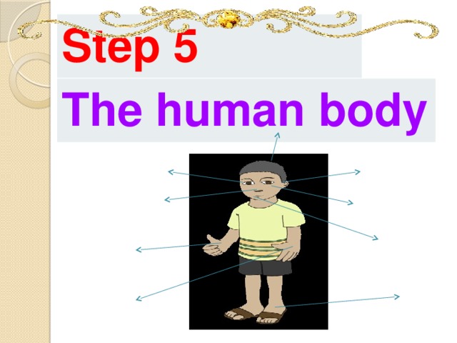 Step 5 The  human  body