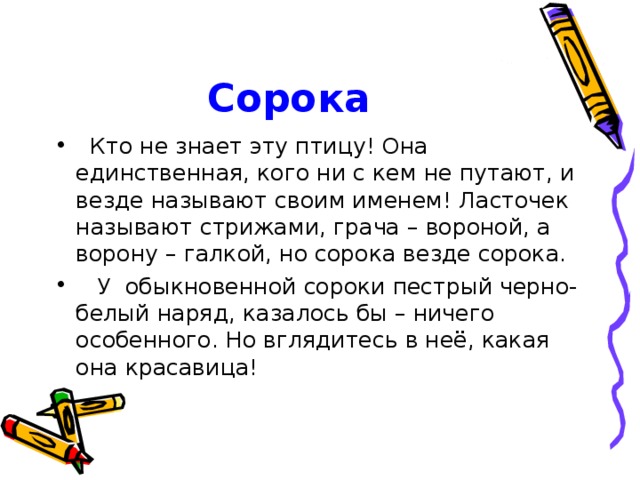 Сорока