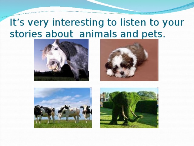 It’s very interesting to listen to your stories about animals and pets.