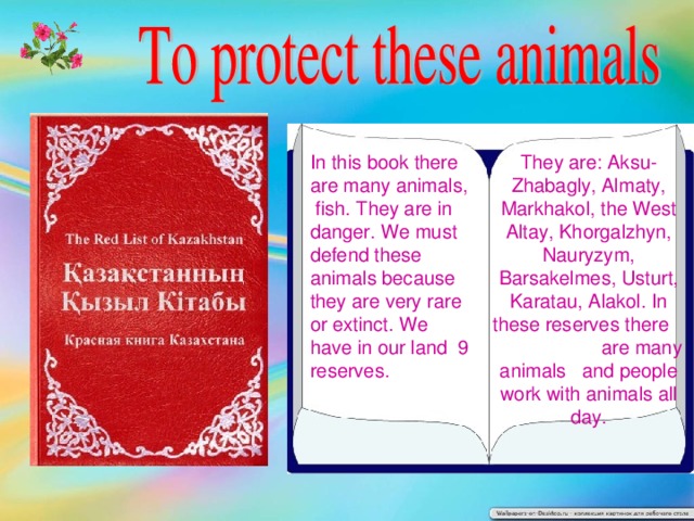 In this book there are many animals, fish. They are in danger. We must defend these animals because they are very rare or extinct. We have in our land 9 reserves. They are: Aksu-Zhabagly, Almaty, Markhakol, the West Altay, Khorgalzhyn, Nauryzym, Barsakelmes, Usturt, Karatau, Alakol. In these reserves there are many animals and people work with animals all day.