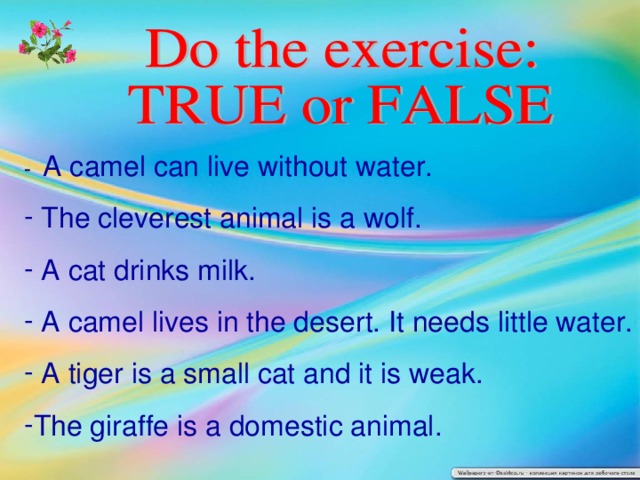 - A camel can live without water.