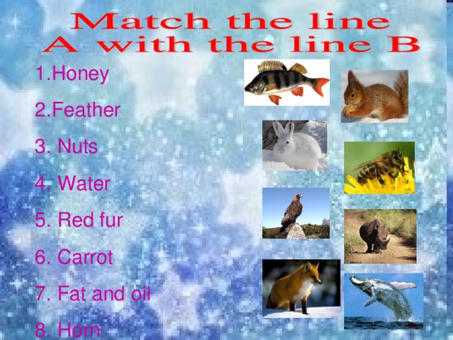 1.Honey 2.Feather 3. Nuts 4. Water 5. Red fur 6. Carrot 7. Fat and oil 8. Horn