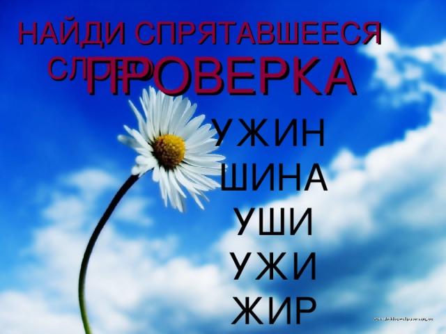 НАЙДИ СПРЯТАВШЕЕСЯ СЛОВО   ПРОВЕРКА  УЖИН ШИНА УШИ УЖИ ЖИР