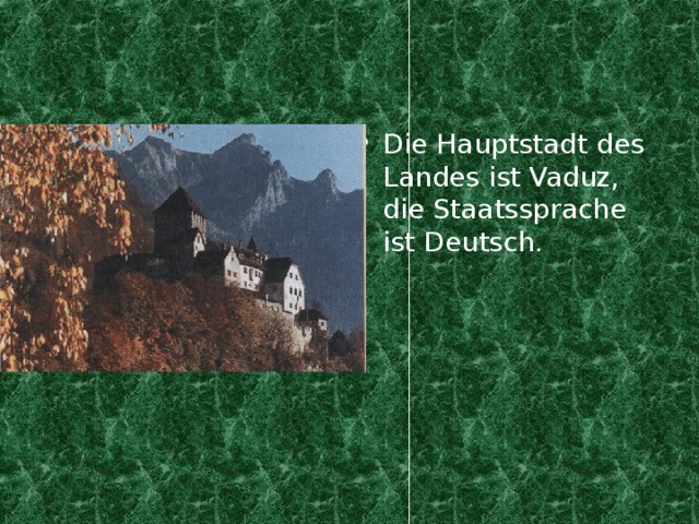 Die Hauptstadt des Landes ist Vaduz, die Staatssprache ist Deutsch .