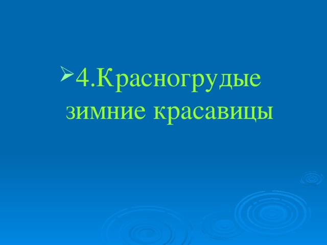 4.Красногрудые зимние красавицы