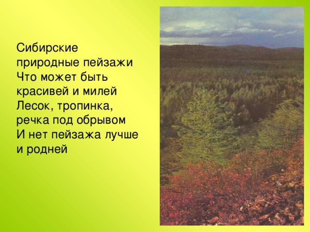 Сибирские природные пейзажи  Что может быть красивей и милей  Лесок, тропинка, речка под обрывом  И нет пейзажа лучше и родней