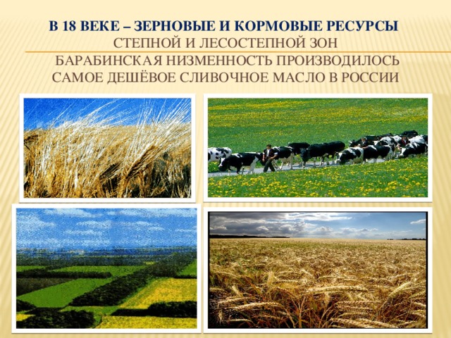 В 18 веке – зерновые и кормовые ресурсы   степной и лесостепной зон  Барабинская низменность производилось самое дешёвое сливочное масло в России
