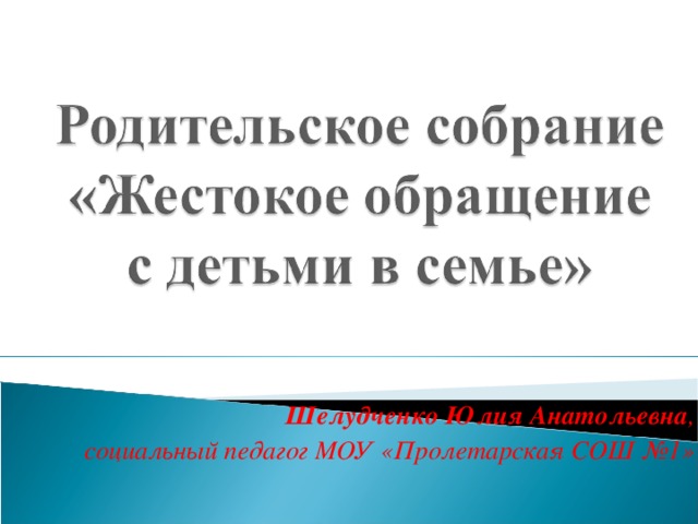 Шелудченко Юлия Анатольевна , социальный педагог МОУ «Пролетарская СОШ №1»