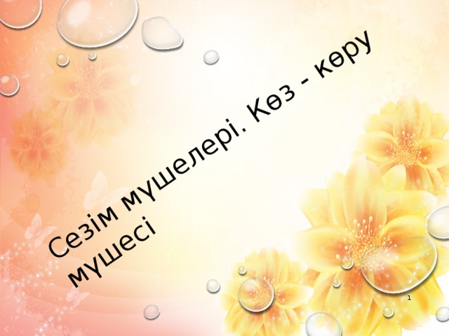 Сезім мүшелері. Көз - көру мүшесі