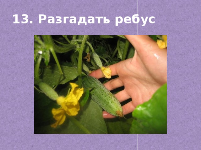 13. Разгадать ребус