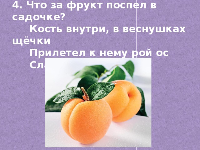 4. Что за фрукт поспел в садочке?  Кость внутри, в веснушках щёчки  Прилетел к нему рой ос  Сладок мягкий …