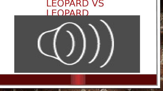 Leopard vs leopard