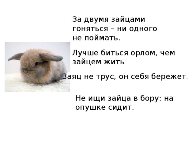 За двумя зайцами гоняться – ни одного не поймать.  Лучше биться орлом, чем зайцем жить . Заяц не трус, он себя бережет . Не ищи зайца в бору: на опушке сидит.  