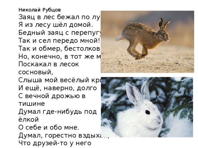 Зайцы бегали в лесу. Н рубцов про зайца. Н рубцов про зайца 2 класс. Н М рубцов стихотворение про зайца.
