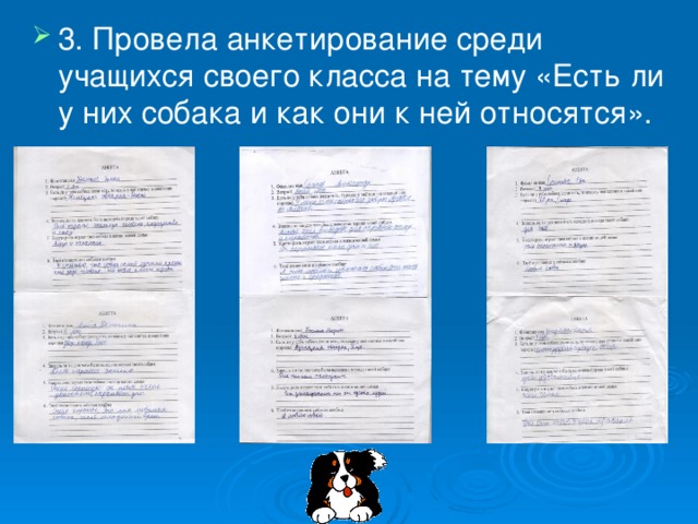 3. Провела анкетирование среди учащихся своего класса на тему «Есть ли у них собака и как они к ней относятся».