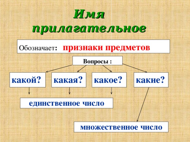 Имя  прилагательное Обозначает :  признаки предметов  Вопросы : какой? какая? какое? какие? единственное число  множественное число