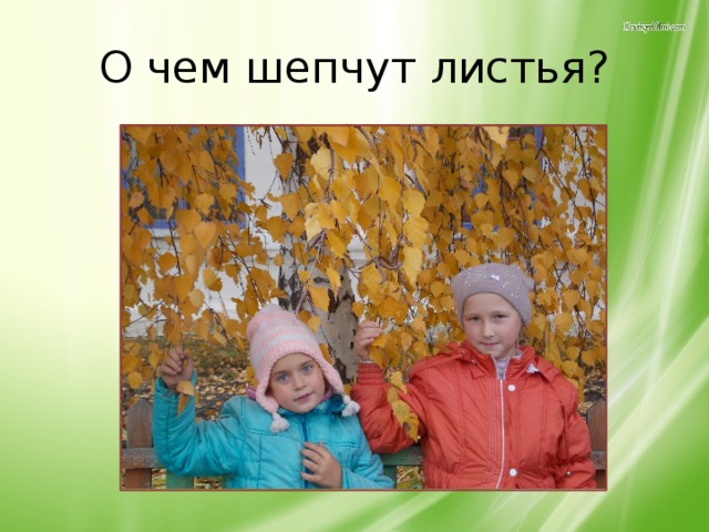 О чем шепчут листья?