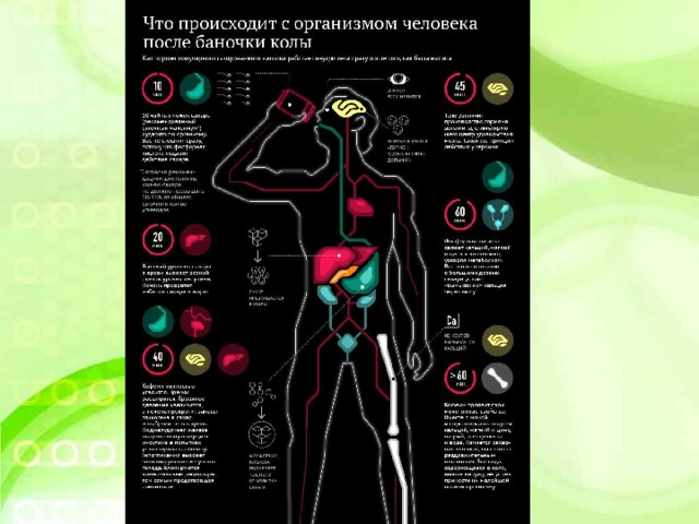 Ознакомления с организмом