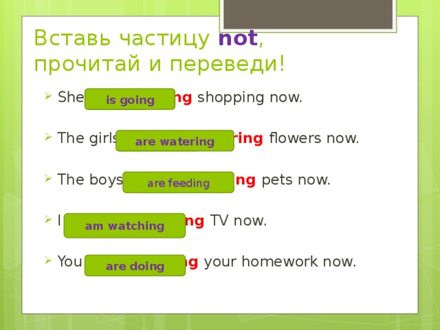 Вставь частицу not , прочитай и переведи! She is not going shopping now. The girls are not watering flowers now. The boys are not feeding pets now. I am not watching TV now. You are not doing your homework now. is going are watering are feeding am watching are doing