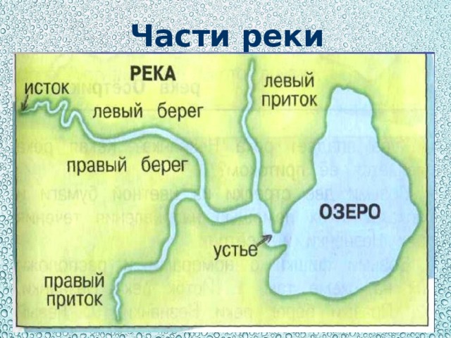 Части реки