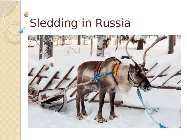 Sledding in Russia
