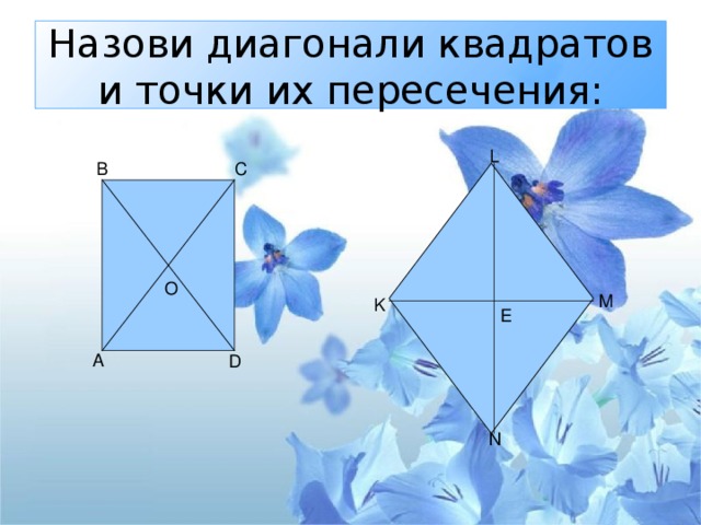 Назови диагонали квадратов и точки их пересечения: L M K E D N