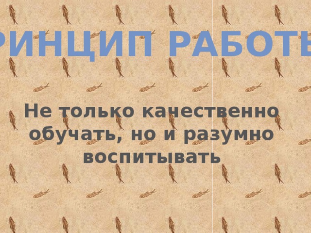 принцип работы: Не только качественно обучать, но и разумно воспитывать