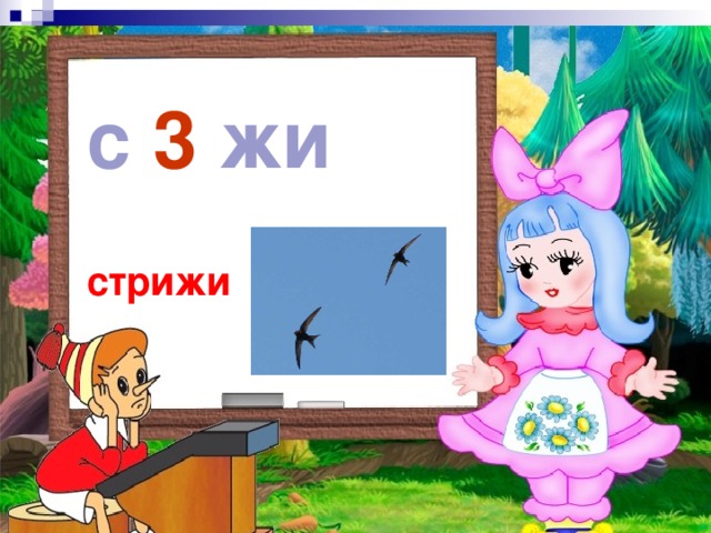 с 3 жи  , стрижи