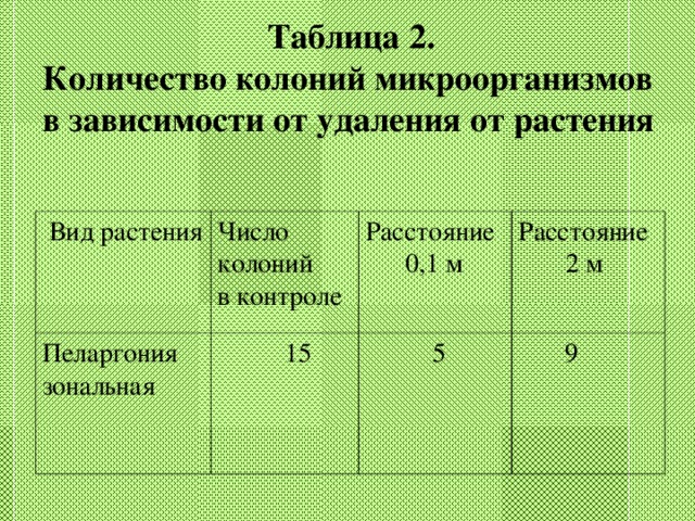 Таблица 2. Количество колоний микроорганизмов в зависимости от удаления от растения   Вид растения Число колоний в контроле Пеларгония зональная  15 Расстояние  0,1 м Расстояние  2 м  5  9