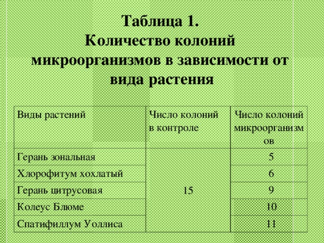 Таблица 1. Количество колоний микроорганизмов в зависимости от вида растения  Виды растений Герань зональная Число колоний в контроле Хлорофитум хохлатый Число колоний микроорганизмов 15 Герань цитрусовая  5 Колеус Блюме  6 Спатифиллум Уоллиса  9  10  11