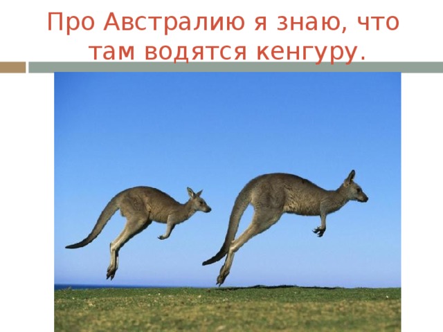 Про Австралию я знаю, что там водятся кенгуру.
