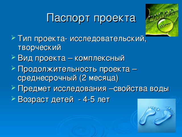 Паспорт проекта