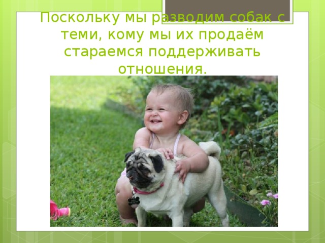 Поскольку мы разводим собак с теми, кому мы их продаём стараемся поддерживать отношения.