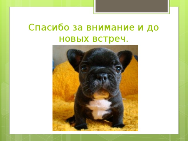 Спасибо за внимание и до новых встреч.