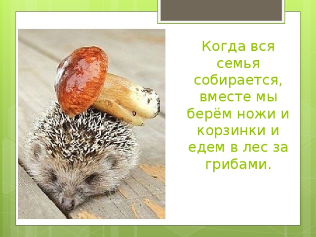 Когда вся семья собирается, вместе мы берём ножи и корзинки и едем в лес за грибами.