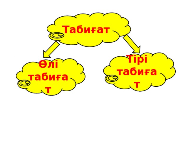 Табиғат Тірі табиғат Өлі табиғат