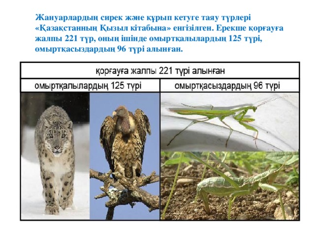 Жануарлардың сирек және құрып кетуге таяу түрлері «Қазақстанның Қызыл кітабына» енгізілген. Ерекше қорғауға жалпы 221 түр, оның ішінде омыртқалылардың 125 түрі, омыртқасыздардың 96 түрі алынған.