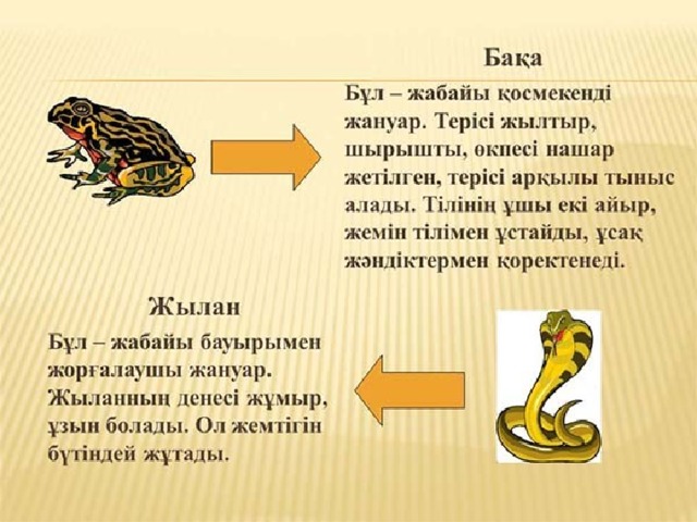 Жануарлардың көптүрлілігі 5 сынып презентация