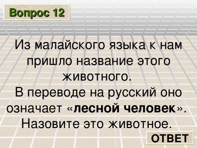 Вопрос 12 Из малайского языка к нам пришло название этого животного. В переводе на русский оно означает « лесной человек ». Назовите это животное. ОТВЕТ