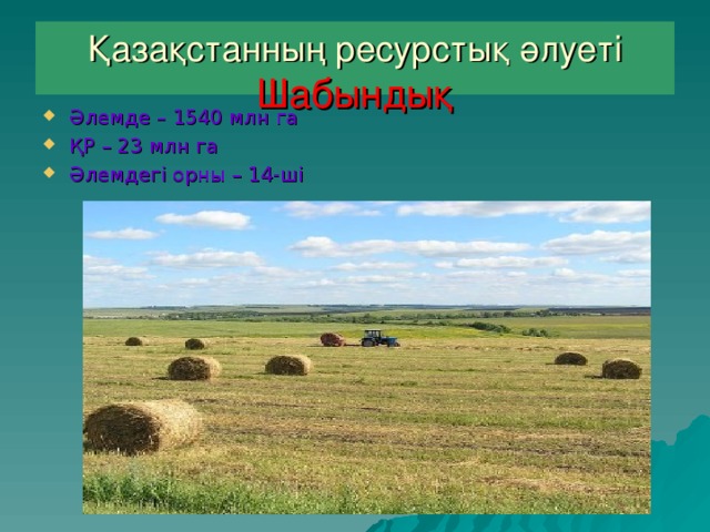 Қазақстанның ресурстық әлуеті  Шабындық