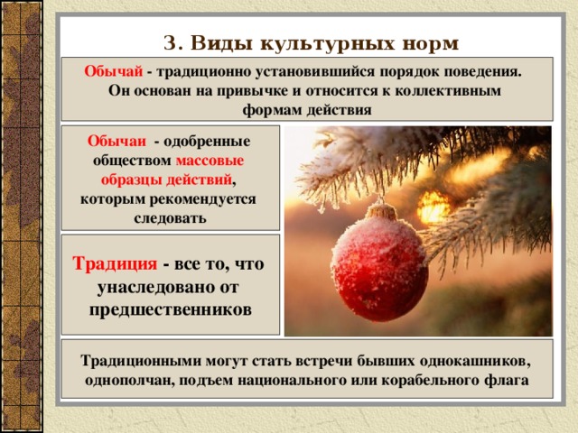 3. Виды культурных норм Обычай - традиционно установившийся порядок поведения. Он основан на привычке и относится к коллективным формам действия Обычаи - одобренные обществом массовые образцы действий , которым рекомендуется следовать Традиция - все то, что унаследовано от предшественников Традиционными могут стать встречи бывших однокашников, однополчан, подъем национального или корабельного флага