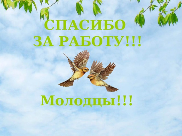 СПАСИБО  ЗА РАБОТУ!!! Молодцы!!!