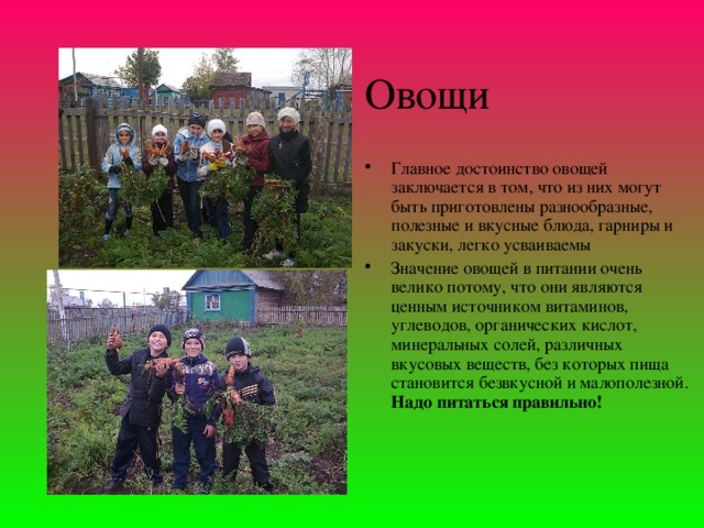 Овощи