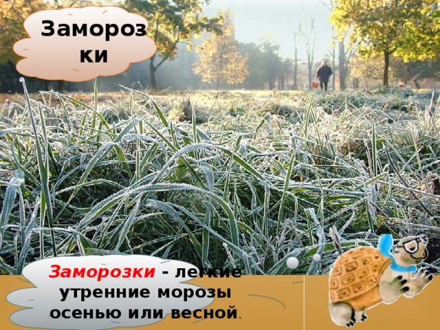 Заморозки Заморозки - легкие утренние морозы осенью или весной .