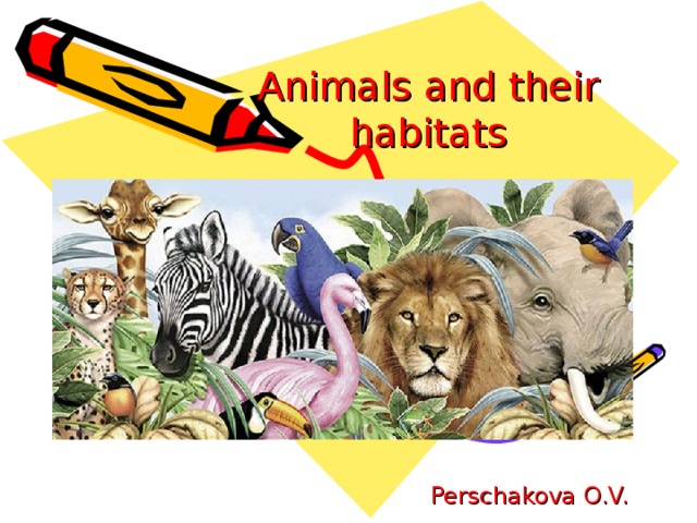 Animals and their habitats Perschakova O.V.