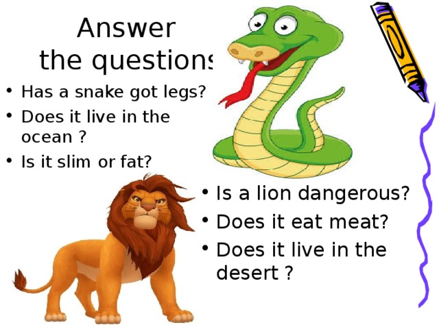Answer  the questions